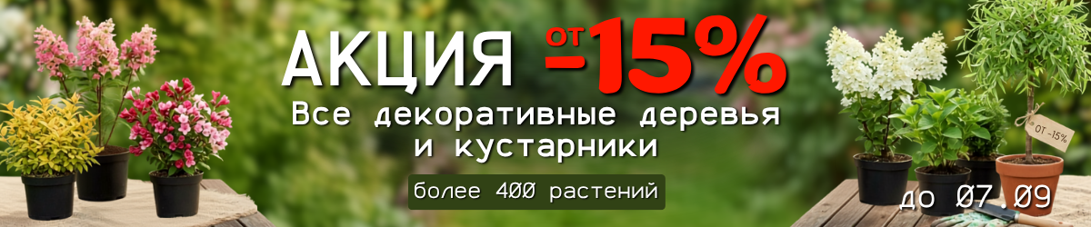 декор от -15%