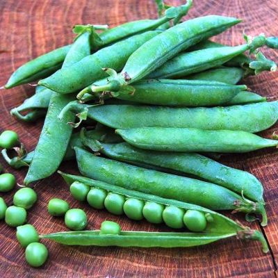 Горох Амброзия фото