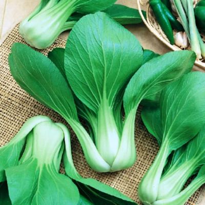 Капуста Китайская Краса Востока Капуста Китайская Краса Востока фото