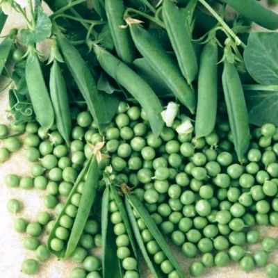 Горох овощной Альфа (ЦВ) 10гр. Горох овощной Альфа (ЦВ) 10гр. фото