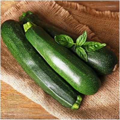 Кабачок Аэронавт Кабачок Аэронавт фото