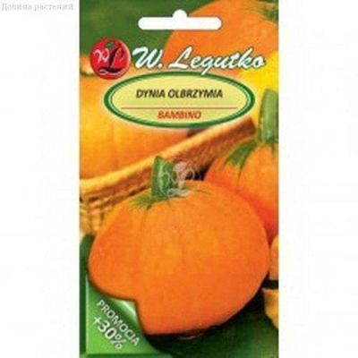 Тыква Бамбино (Польша) Тыква Бамбино (Польша) фото
