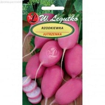 Редис Рассвет (Польша) Редис Рассвет (Польша) фото